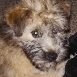 Meet your Posher, Danny